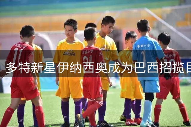 多特新星伊纳西奥成为巴西招揽目标 本人倾向选择意大利