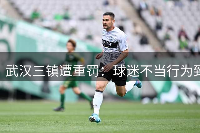 武汉三镇遭重罚：球迷不当行为致俱乐部受惩